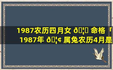 1987农历四月女 🦋 命格「1987年 🦢 属兔农历4月是什么命女」